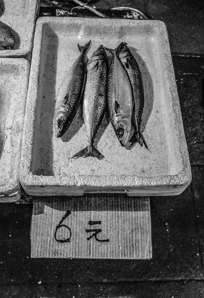 Fish for sale, Guangzhou, China