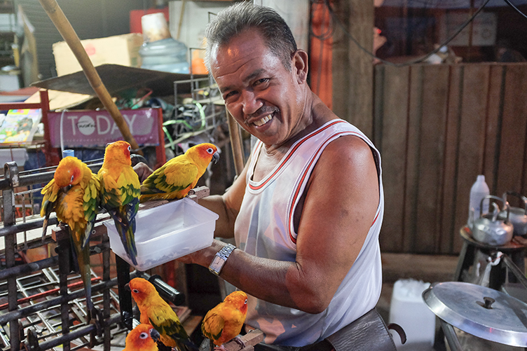 Bird Seller, Chiang Mai, Thailand